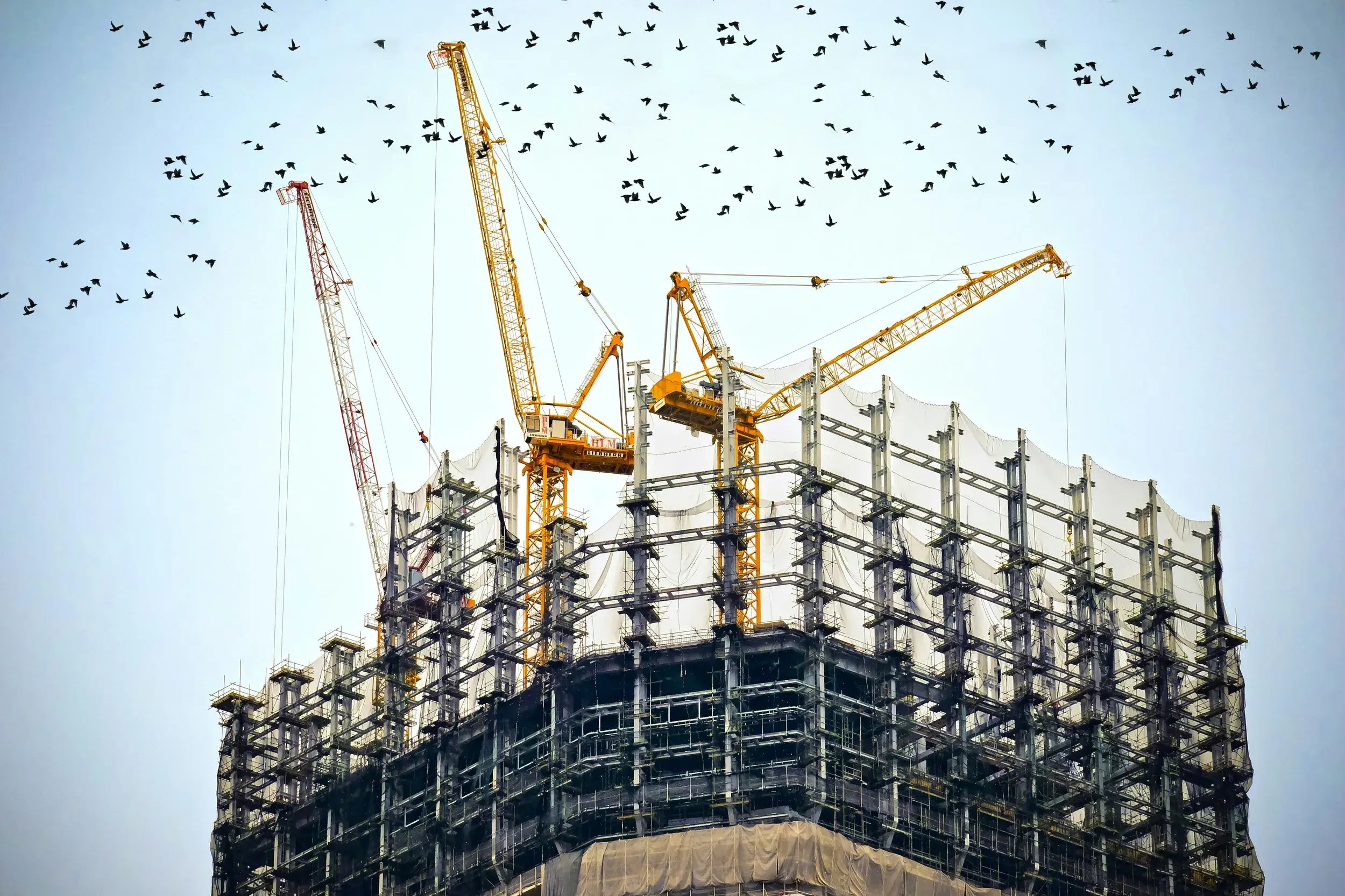 tf-jackson-portable-and-modular-buildings-purchase-and-payment-cranes-in-action-on-large-construction-project